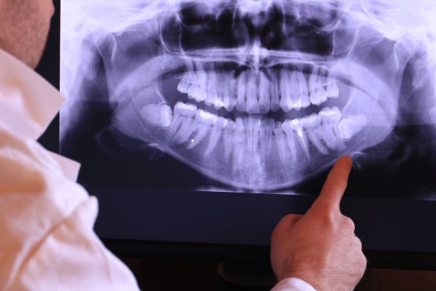 Best Emergency X-Rays and Diagnostics in St Maries, ID